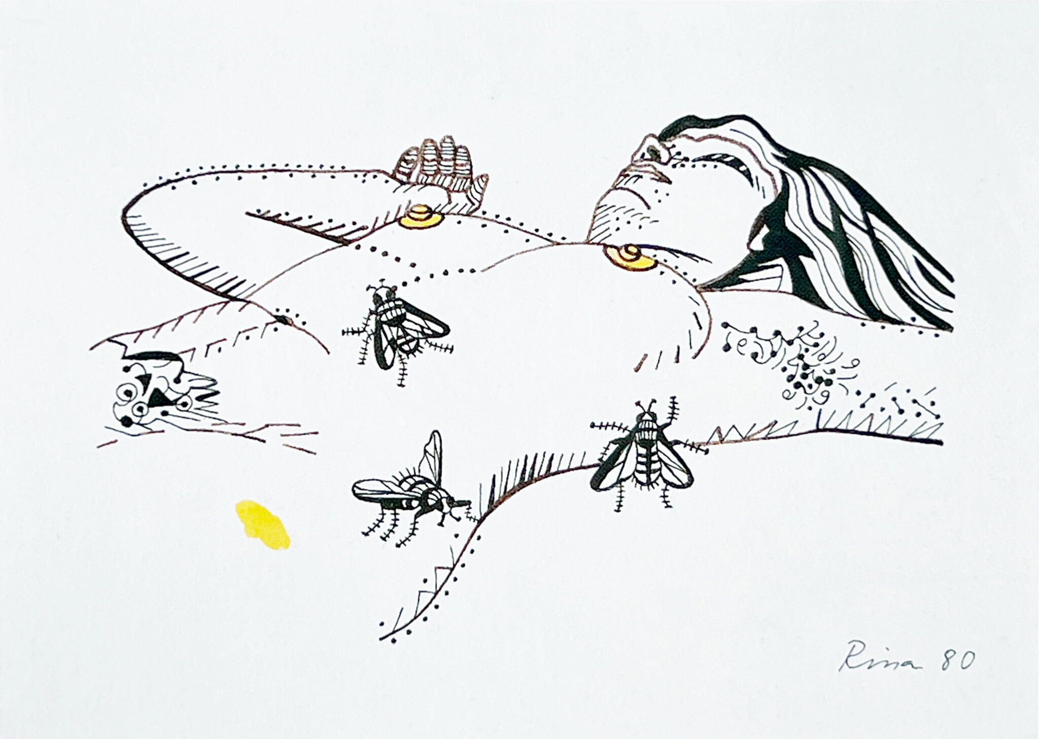 Fleischfliegen 1980 24×32 cm Foto L IMG_1696